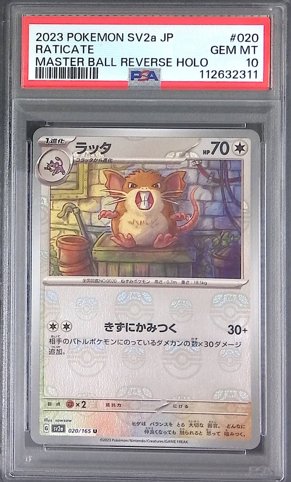 020/165/SV2A/MB2 ラッタ PSA10 マスターボール柄 112632311
