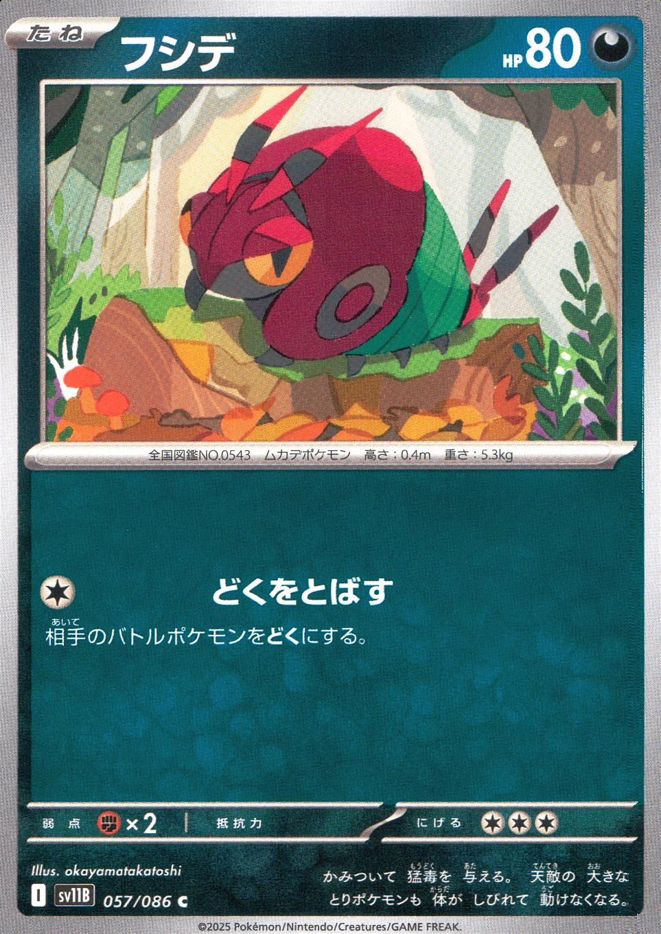 057/086/SV11B/B/C フシデ
