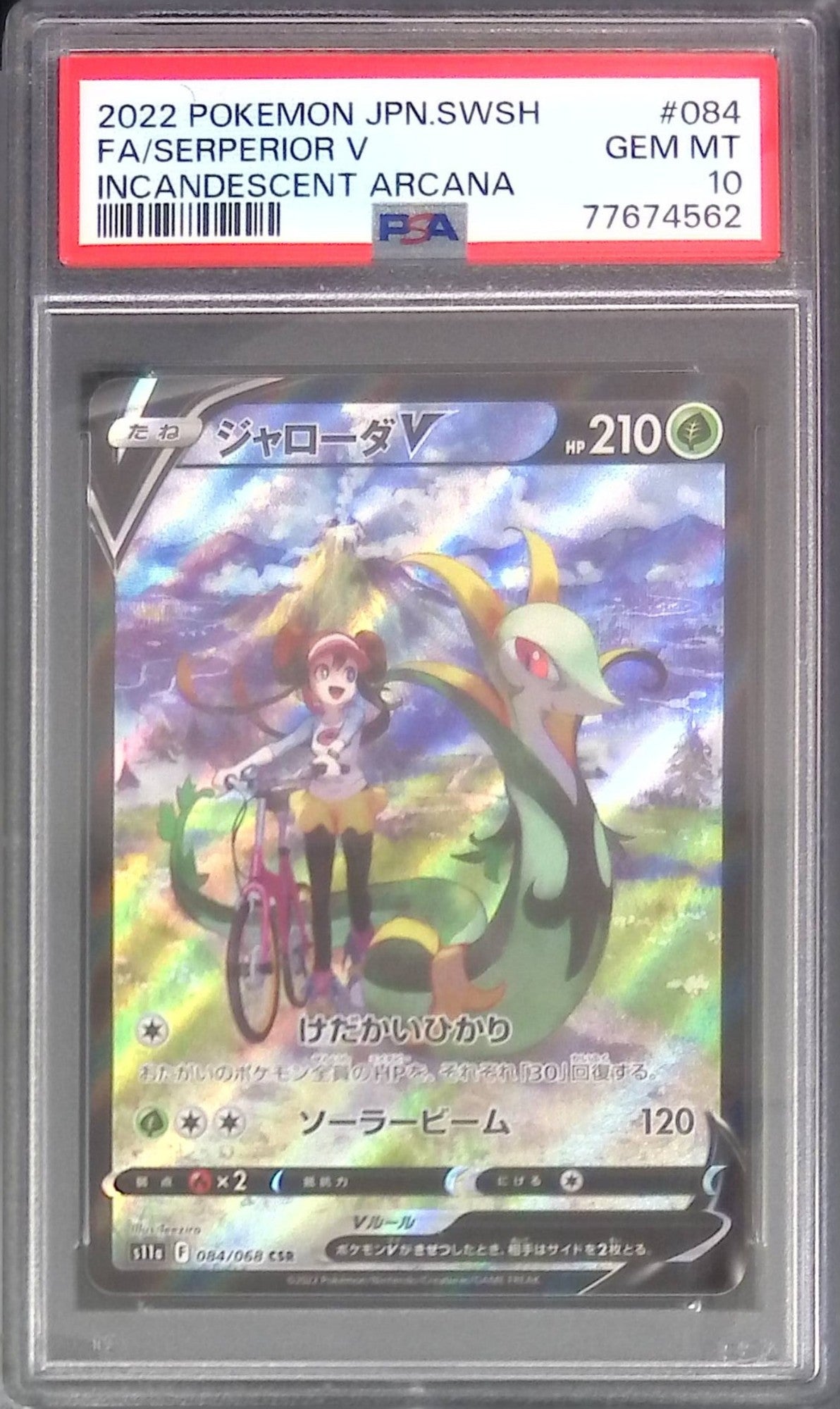 084/068/S11A/CSR ジャローダV PSA10 77674562