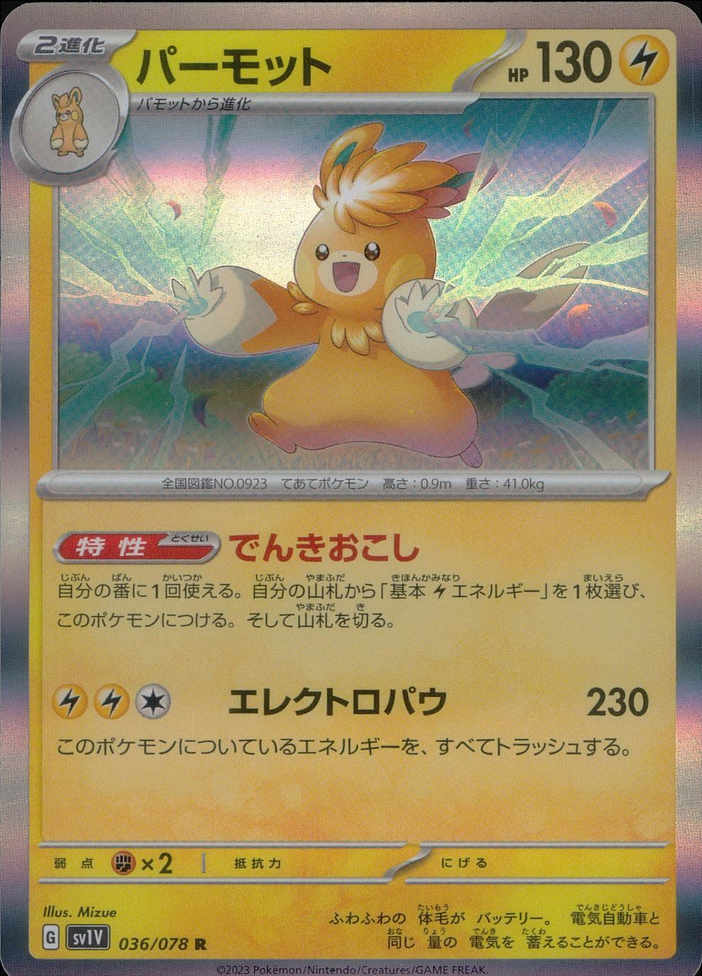 036/078/SV1V/B/R パーモット