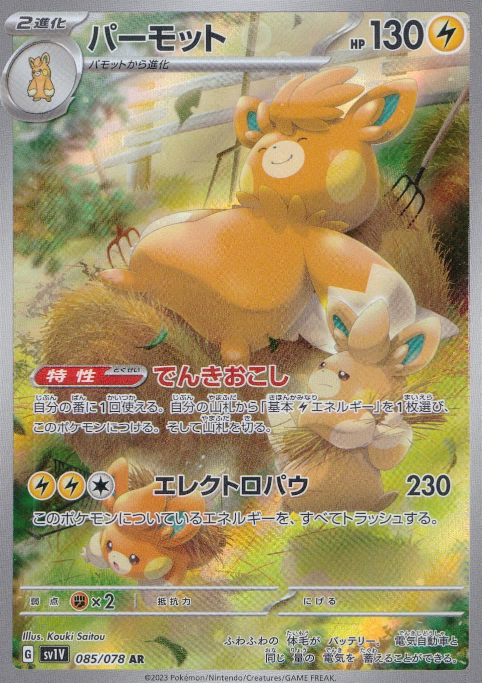 085/078/SV1V/B/AR パーモット