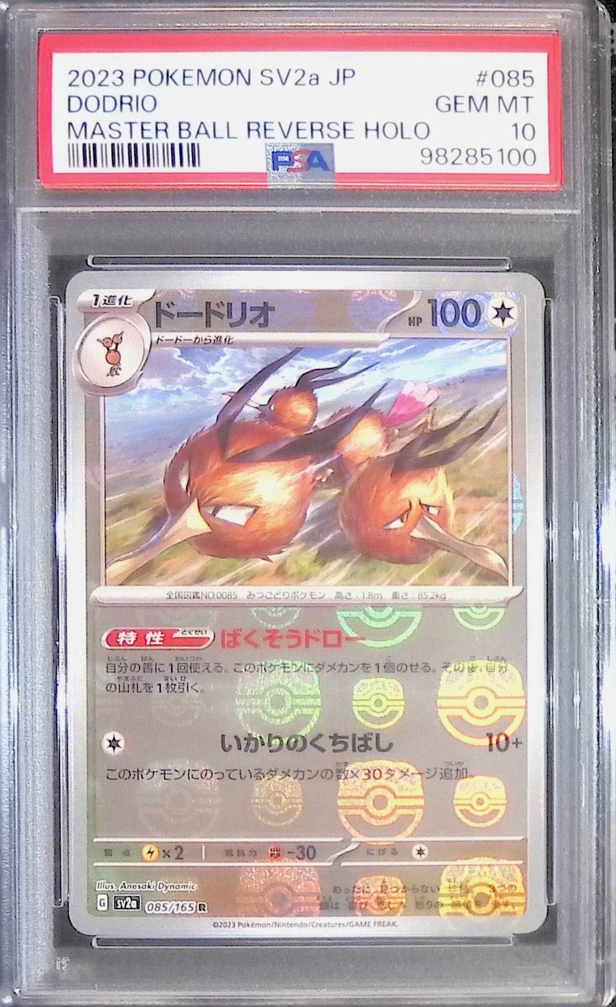 085/165/SV2A/MB2 ドードリオ マスターボール柄 PSA10 98285100