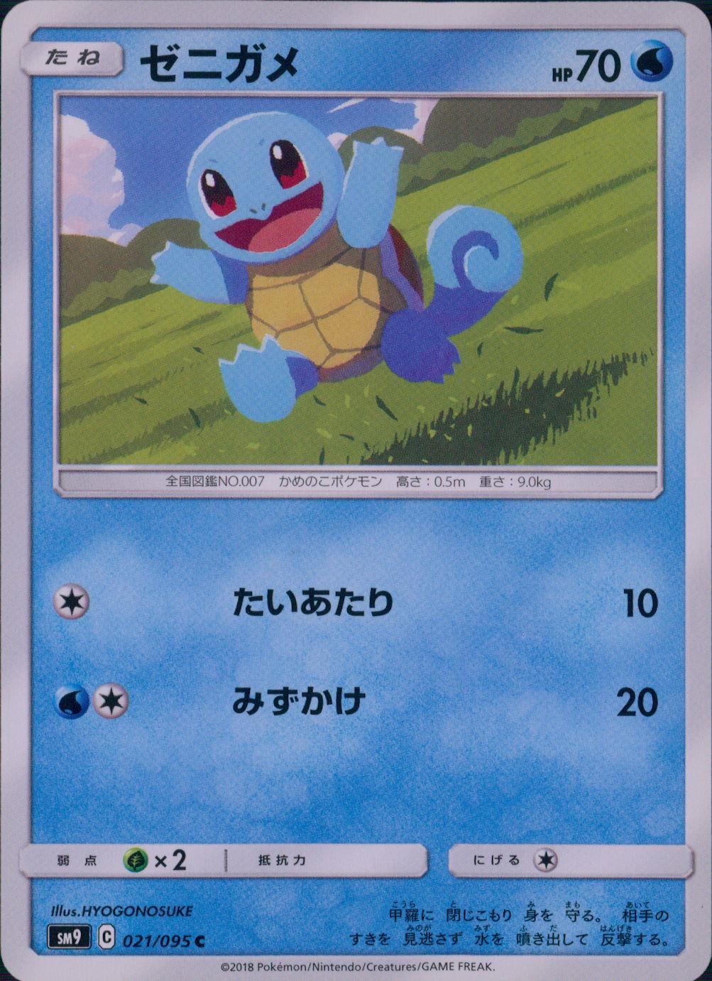 021/095/SM9/B/C ゼニガメ