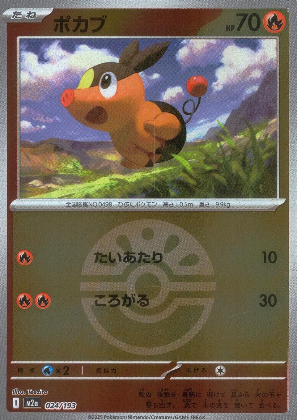 024/193 /M2a/MB ポカブ(ボールミラー)