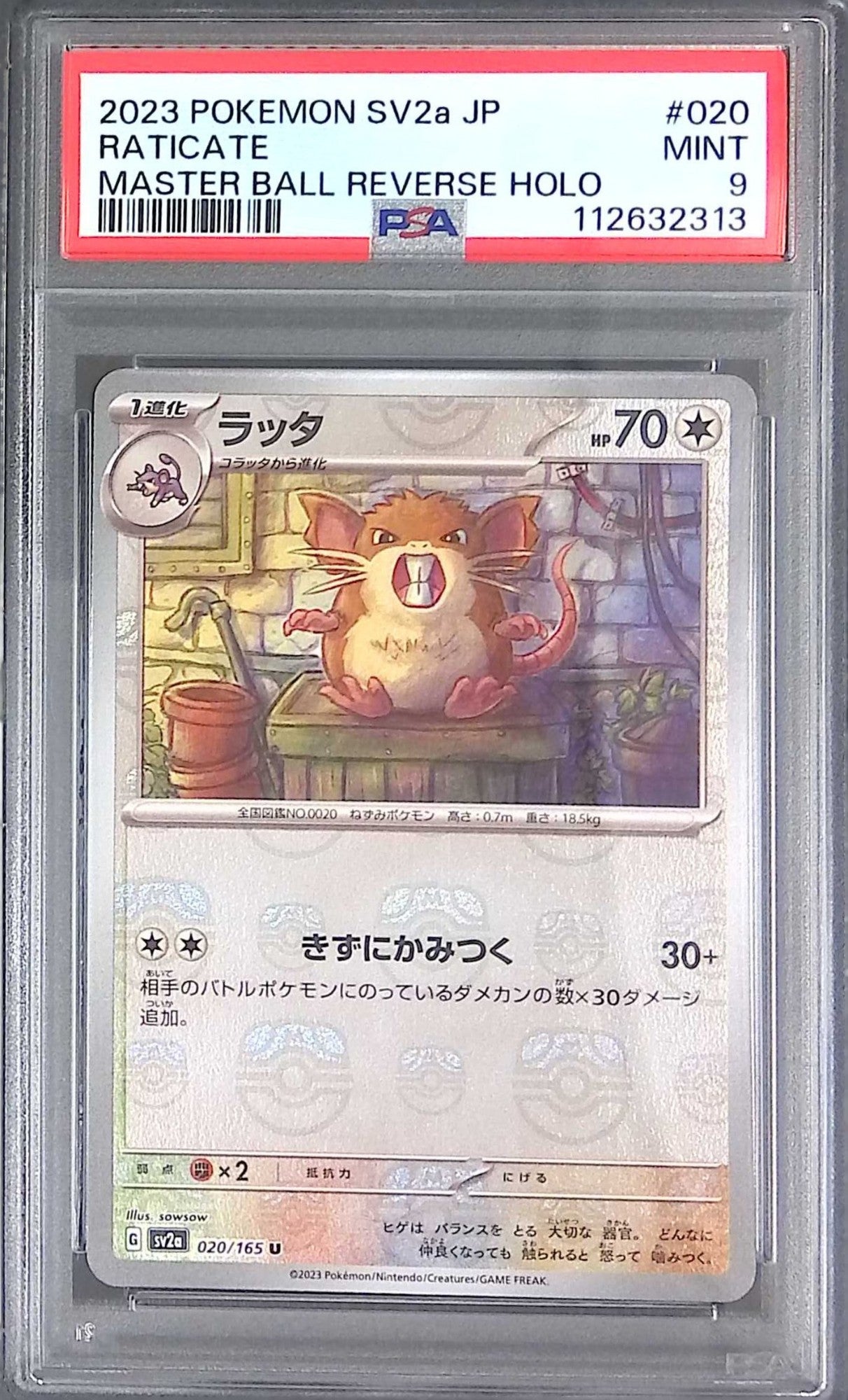 020/165/SV2A/MB2 ラッタ PSA9 マスターボール柄 112632313