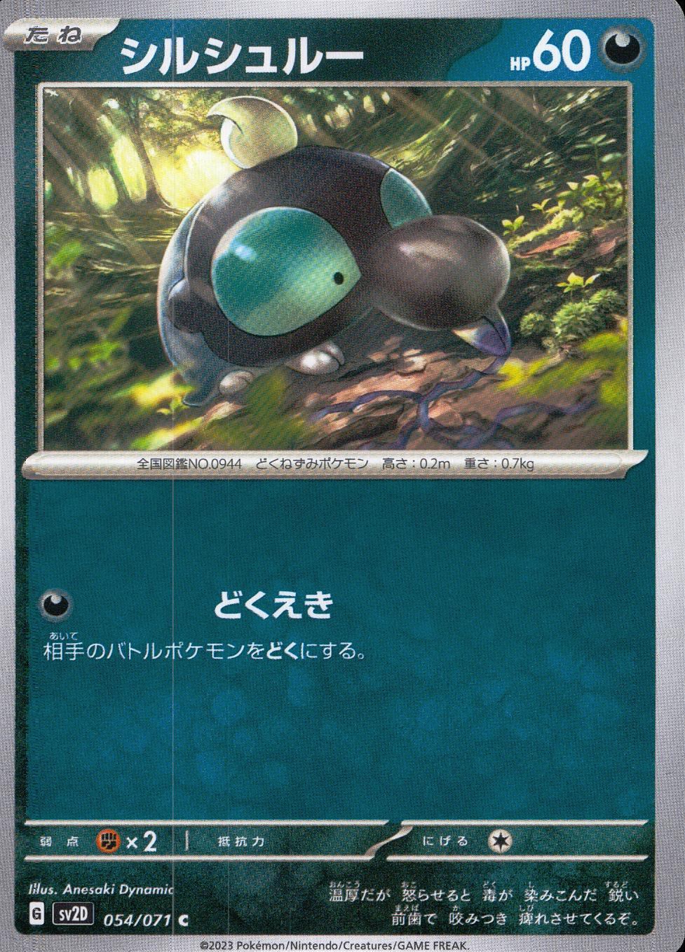 054/071/SV2D/B/C Shirshuru
