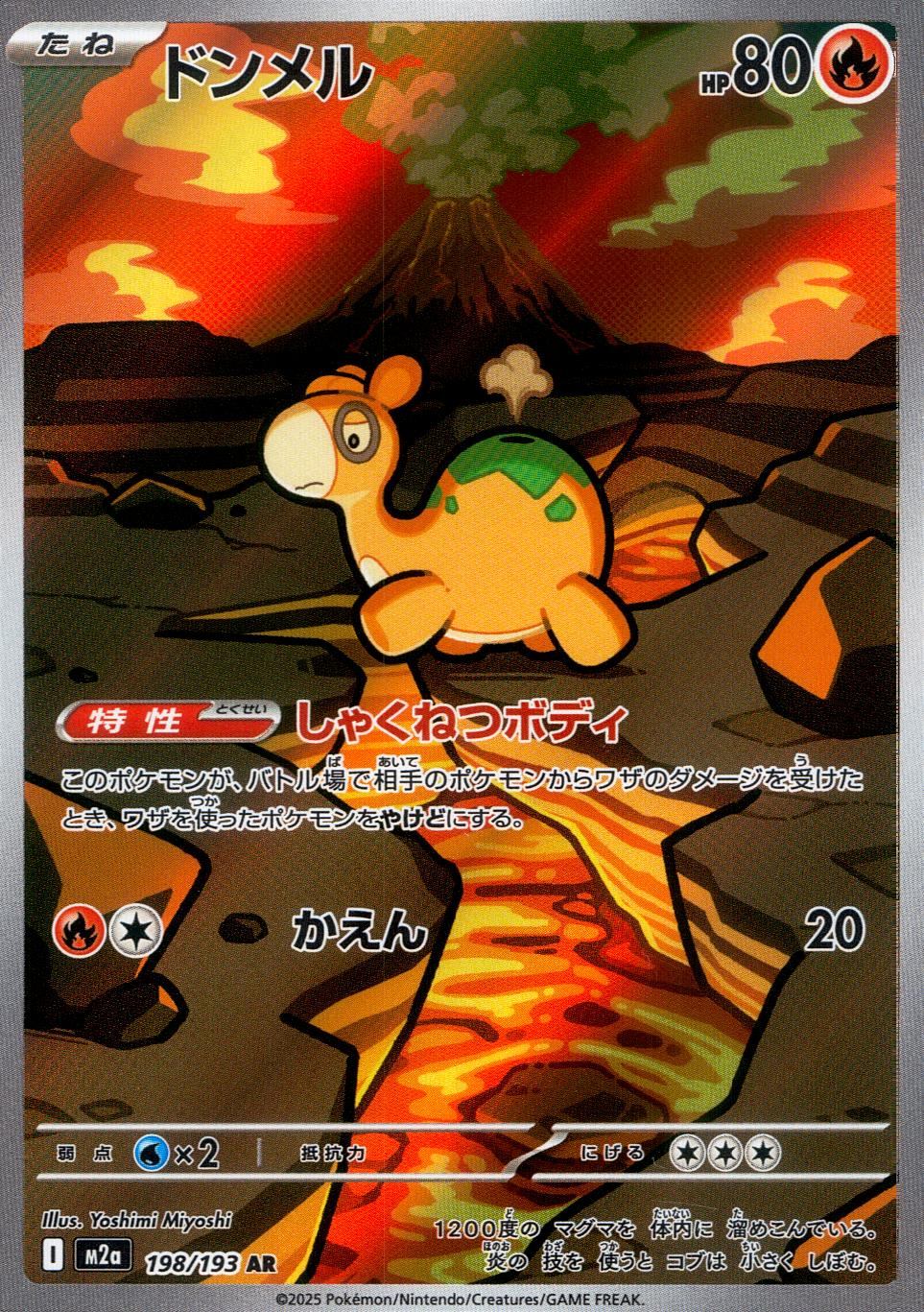 198/193/M2a/AR ドンメル