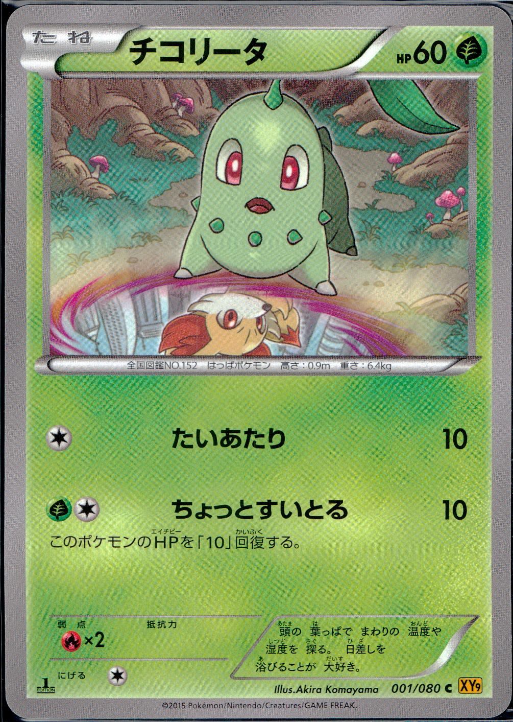 001/080/C/XY9/B チコリータ