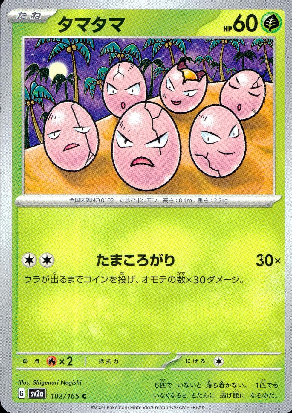 102/165/SV2A/B/C Tamatama