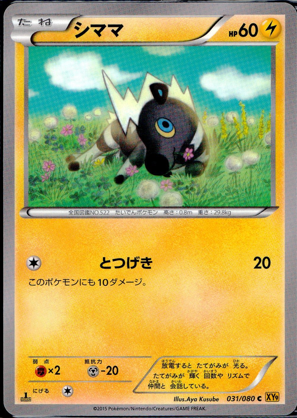 01/080/C/XY9/B シママ
