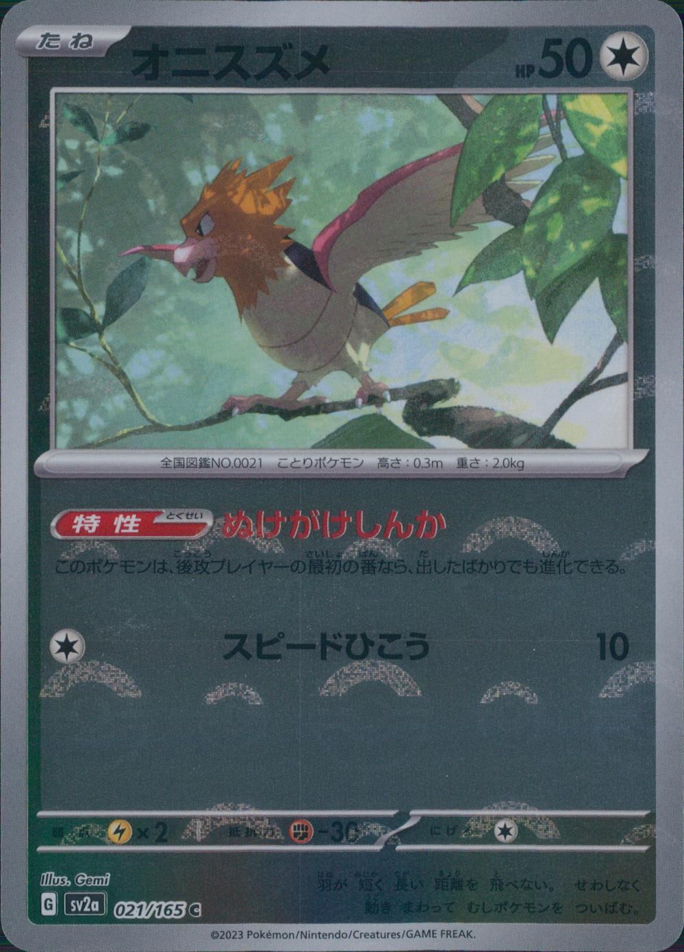 021/165/SV2A/BM1/C ミラー)オニスズメ(モンスターボール柄)
