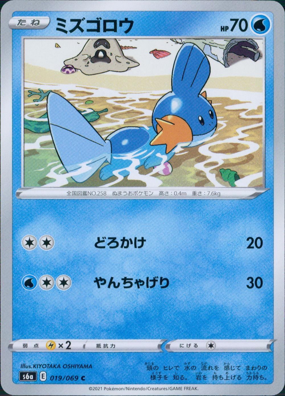 019/069/S6A/B/C Mudkip