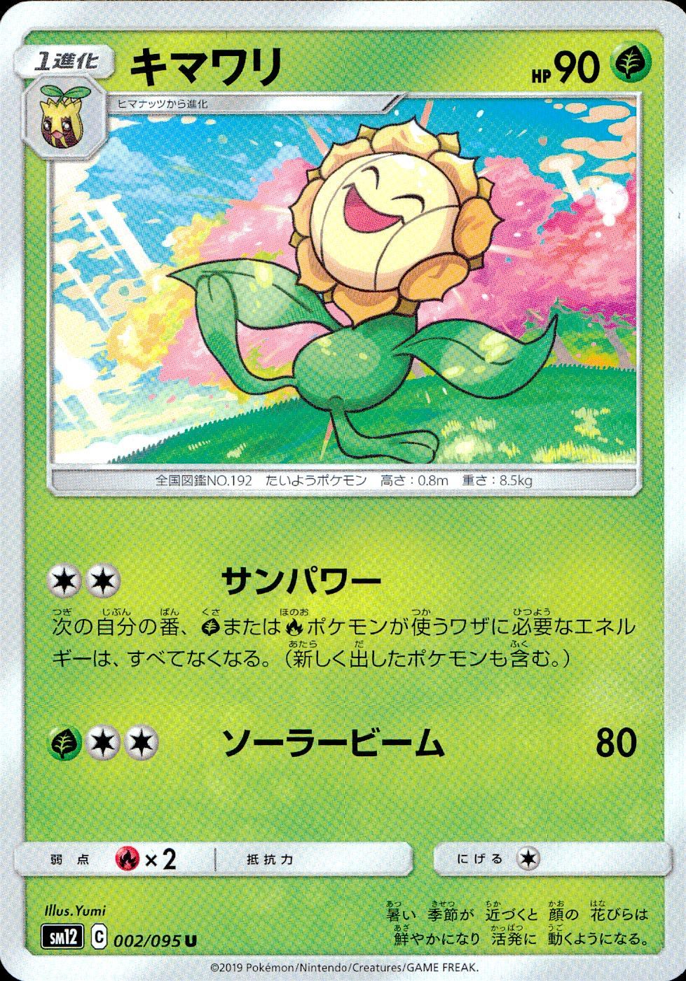 002/095/SM12/B/U キマワリ