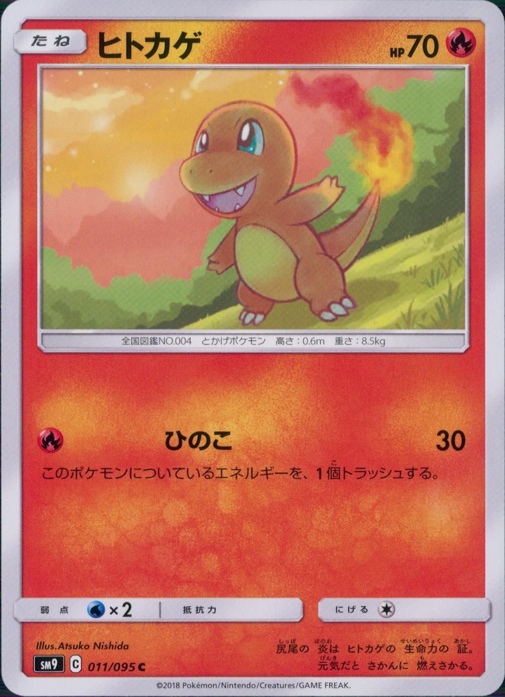 011/095/SM9/B/C ヒトカゲ