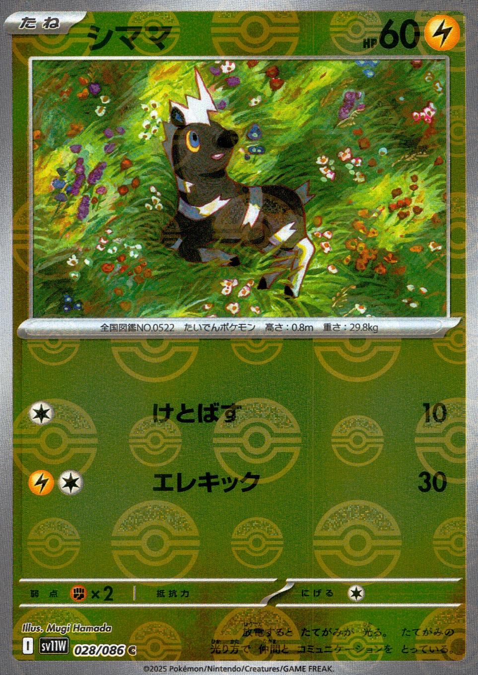 028/086/SV11W/BM1/C Mirror) Shimama (Monster Ball Pattern)