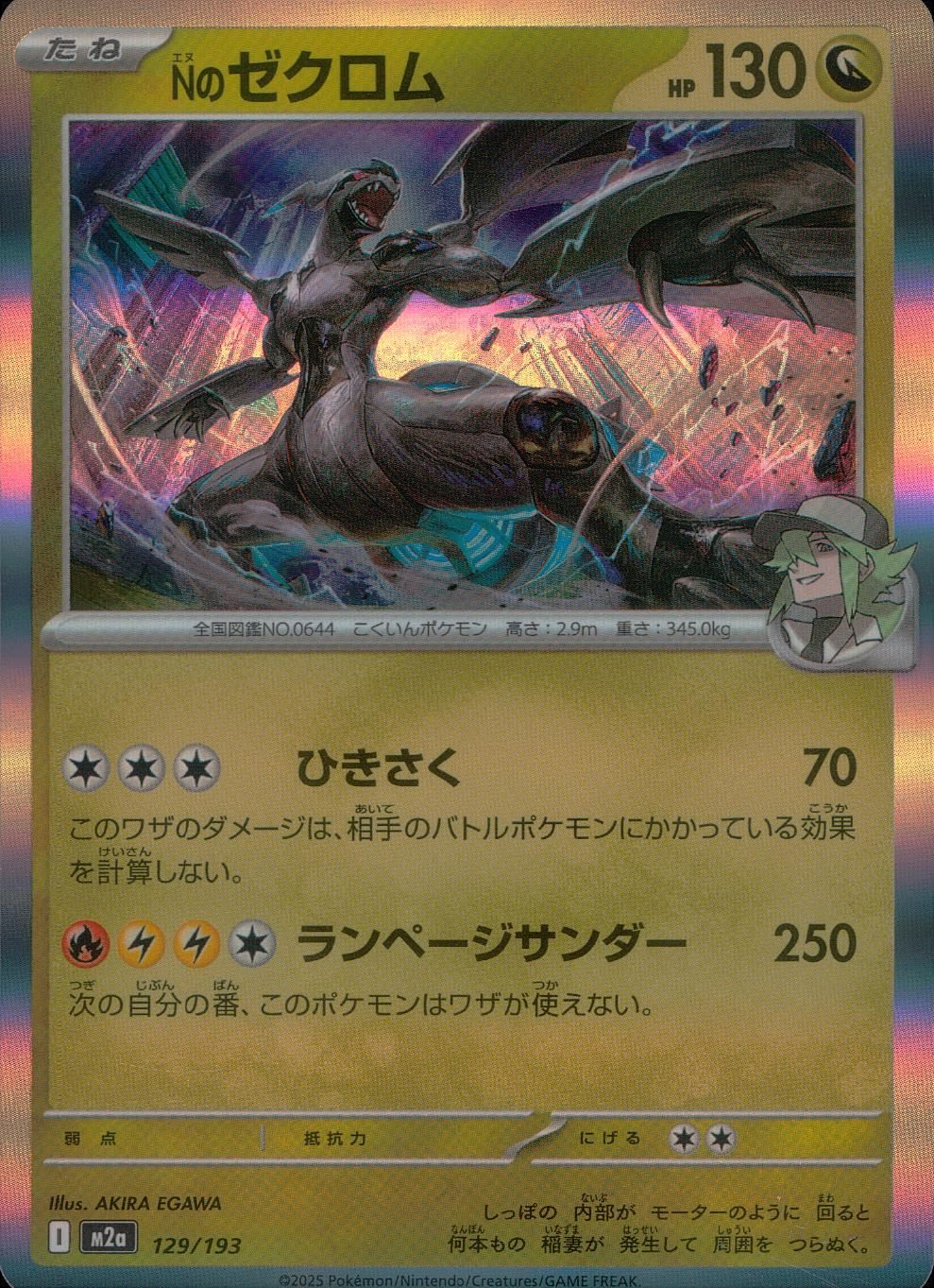 129/193/M2a Nのゼクロム