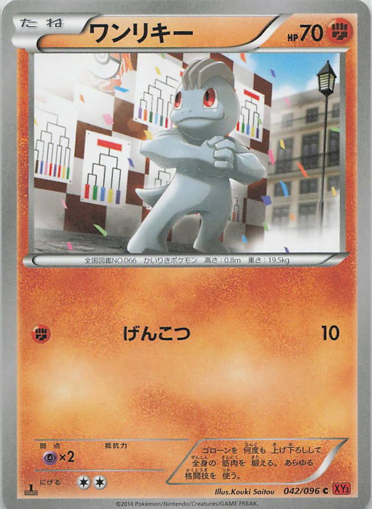 042/096/XY3/C ワンリキー