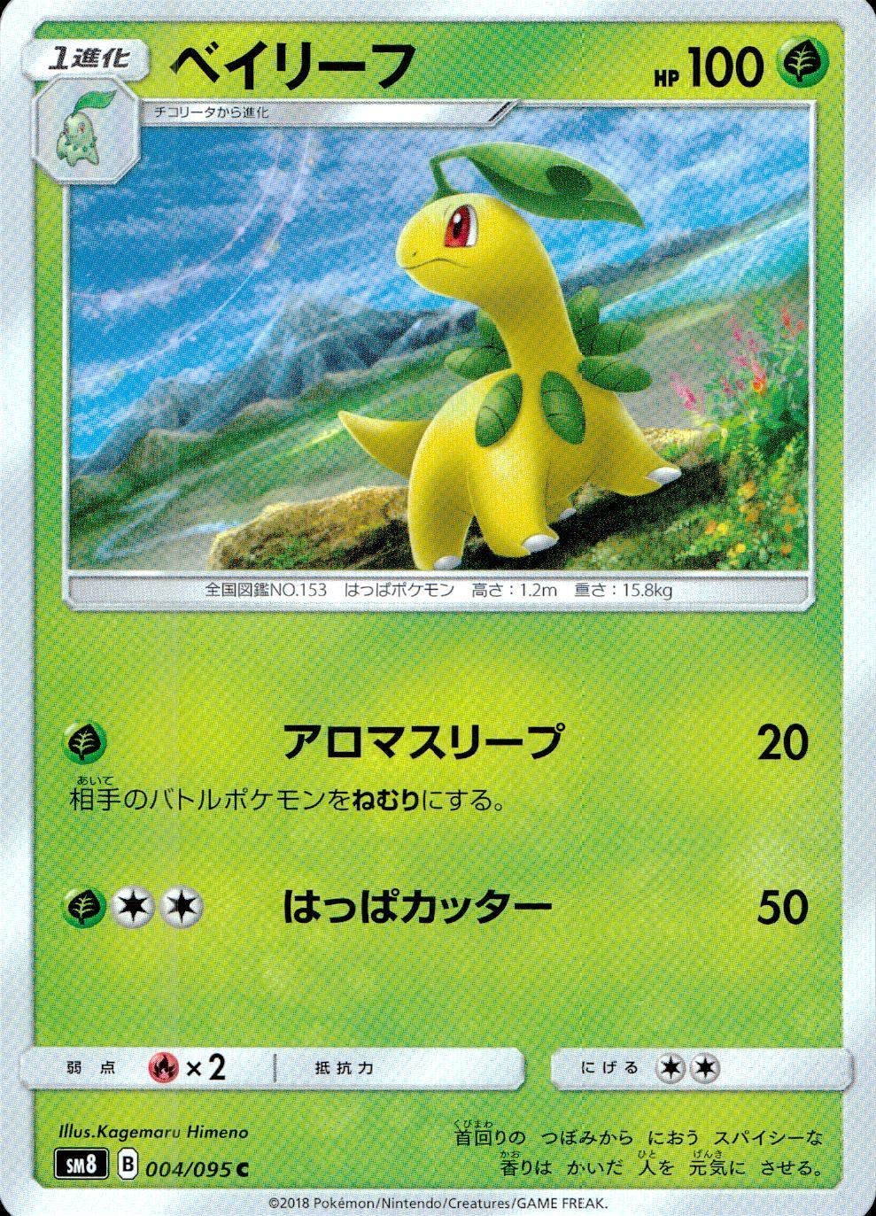 004/095/SM8 ベイリーフ