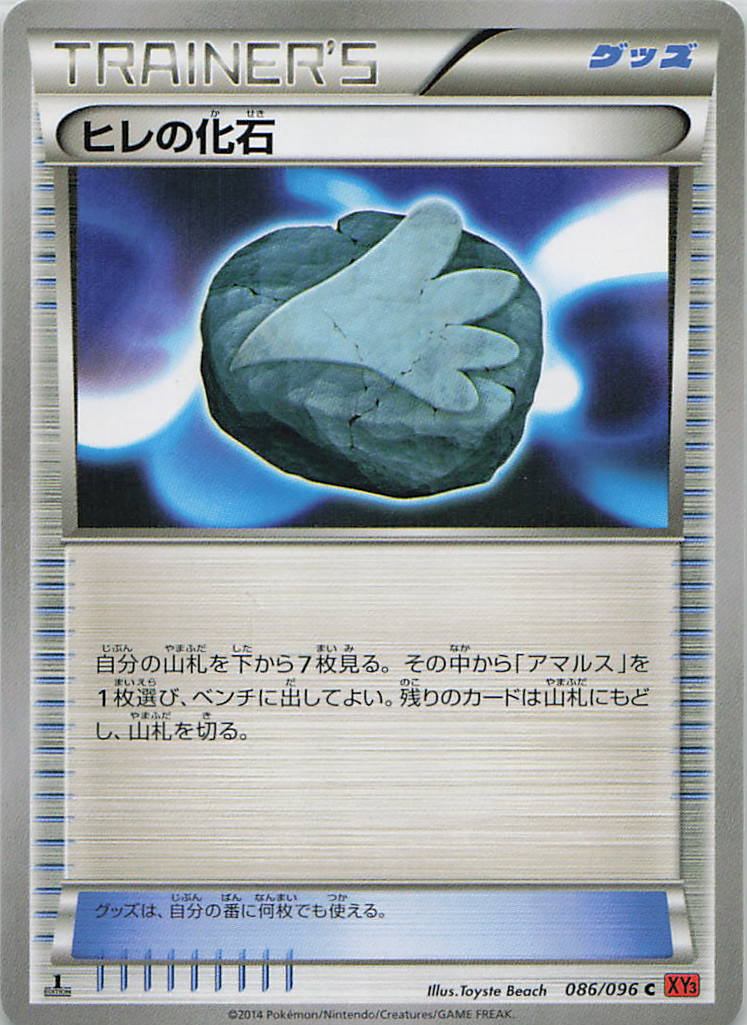 086/096/XY3/C ヒレの化石