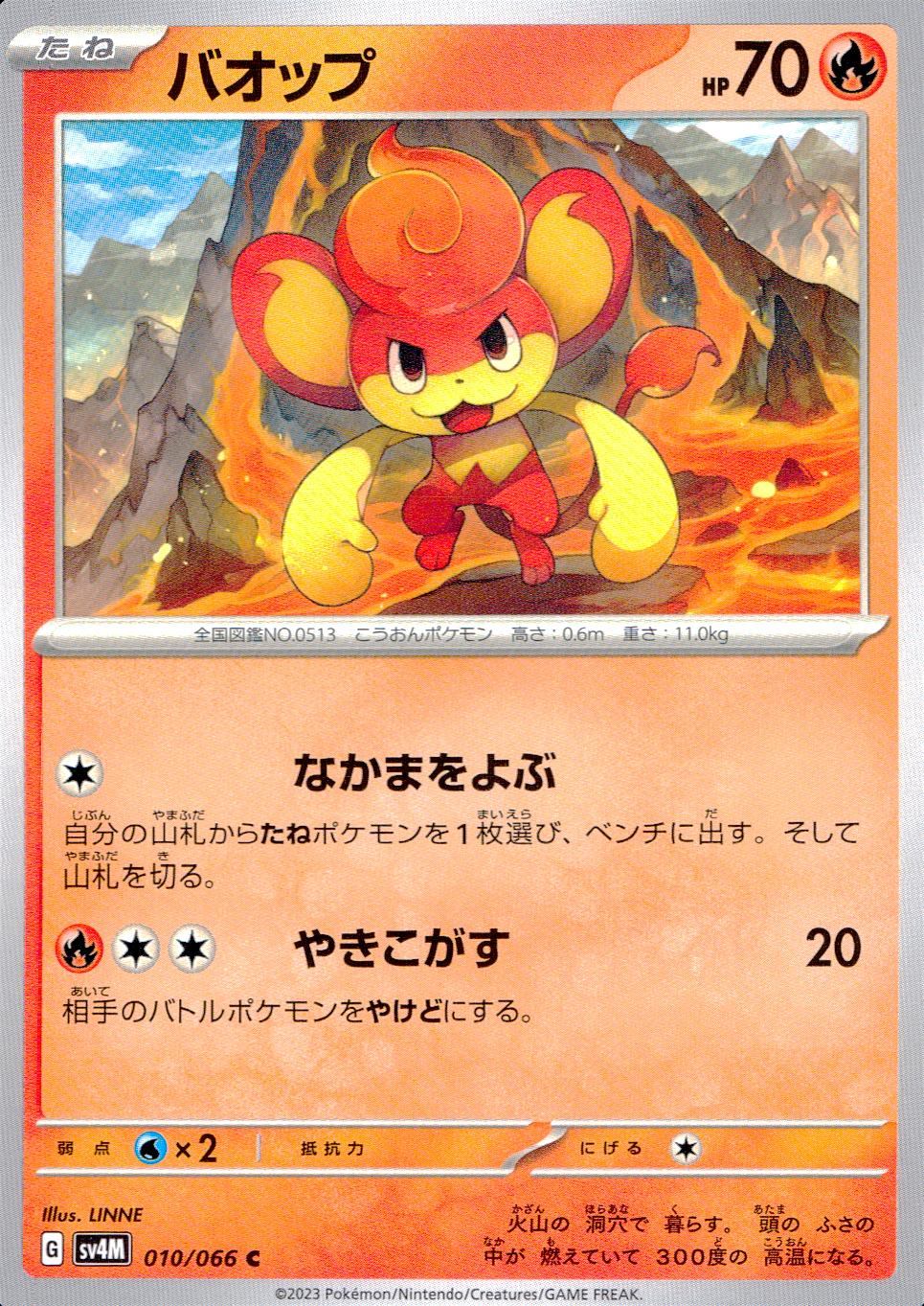 010/066/SV4M/B/C バオップ