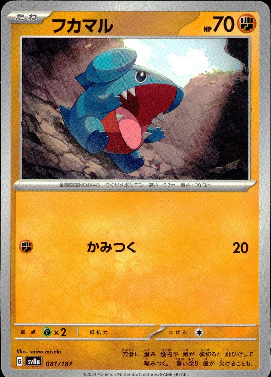 081/187/SV8A/B フカマル