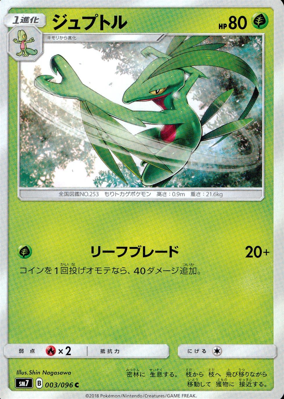 003/096/SM7/ジュプトル