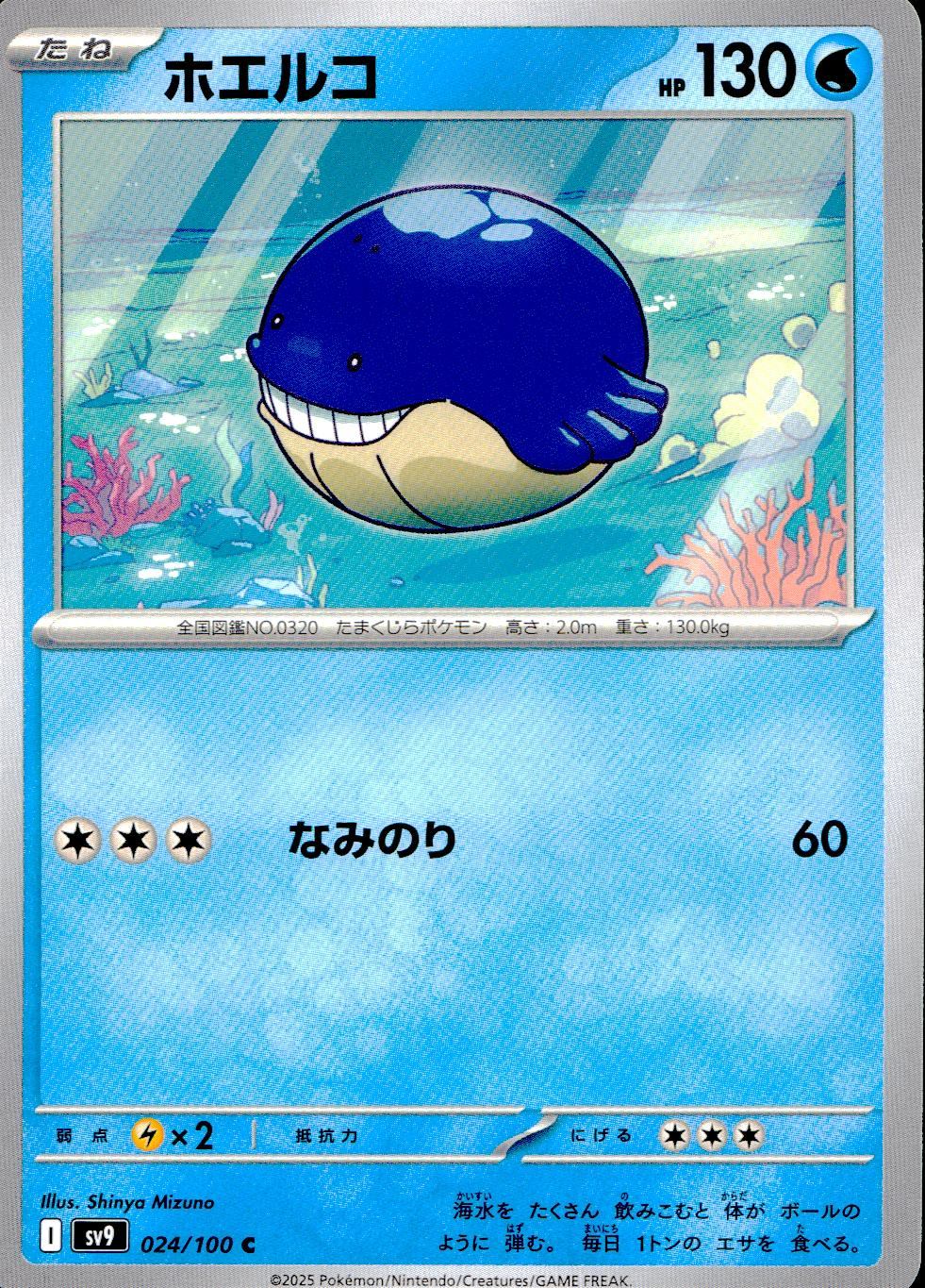 024/100/SV9/B/C ホエルコ