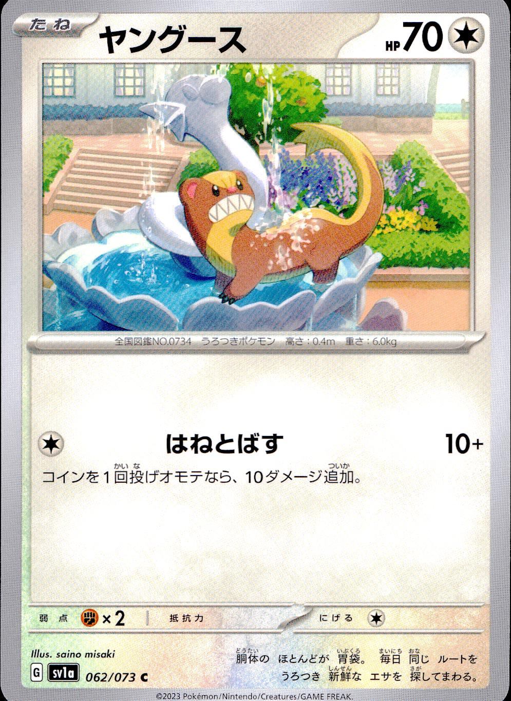 062/073/SV1A/B/C ヤングース