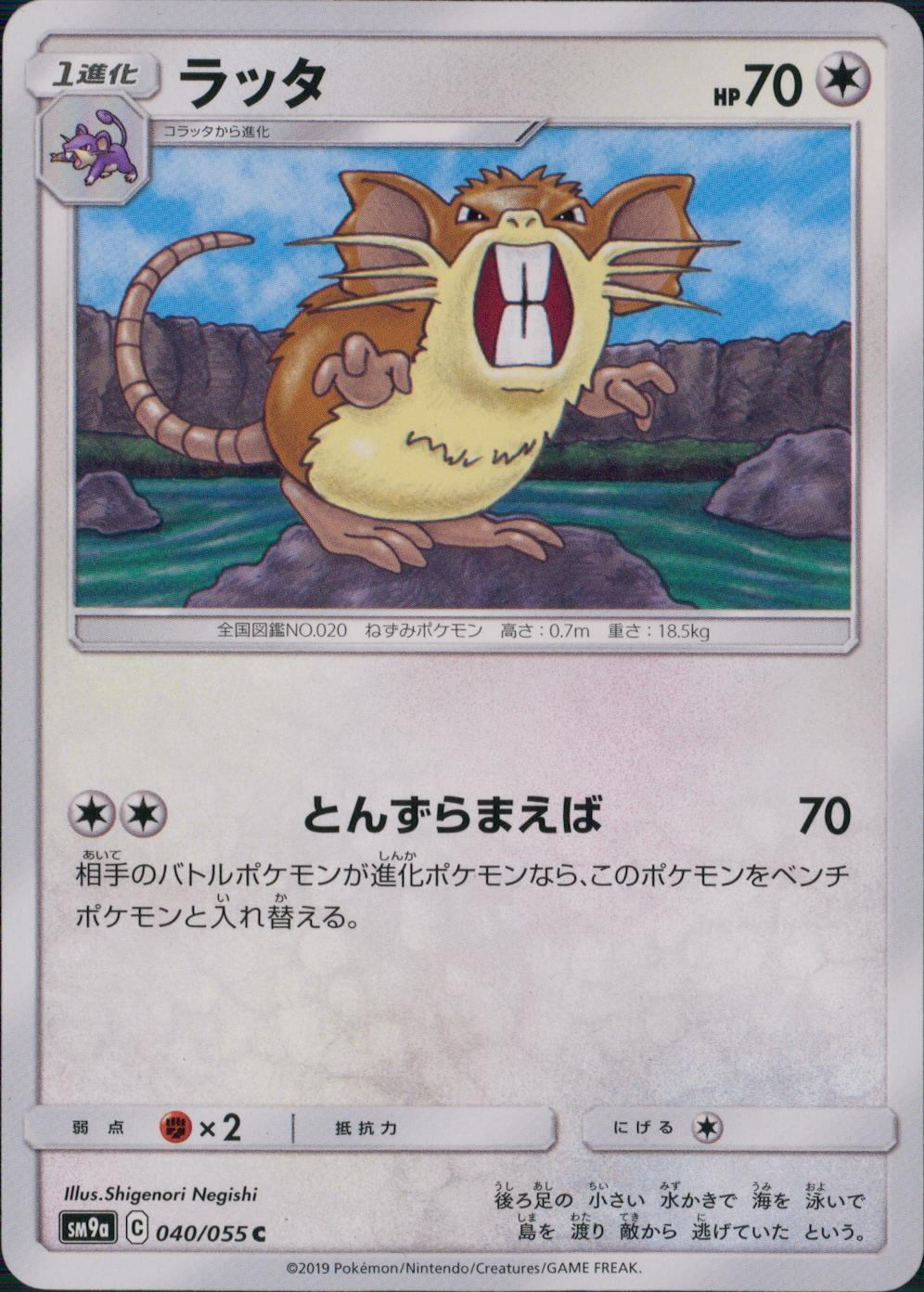 040/055/SM9A/ラッタ