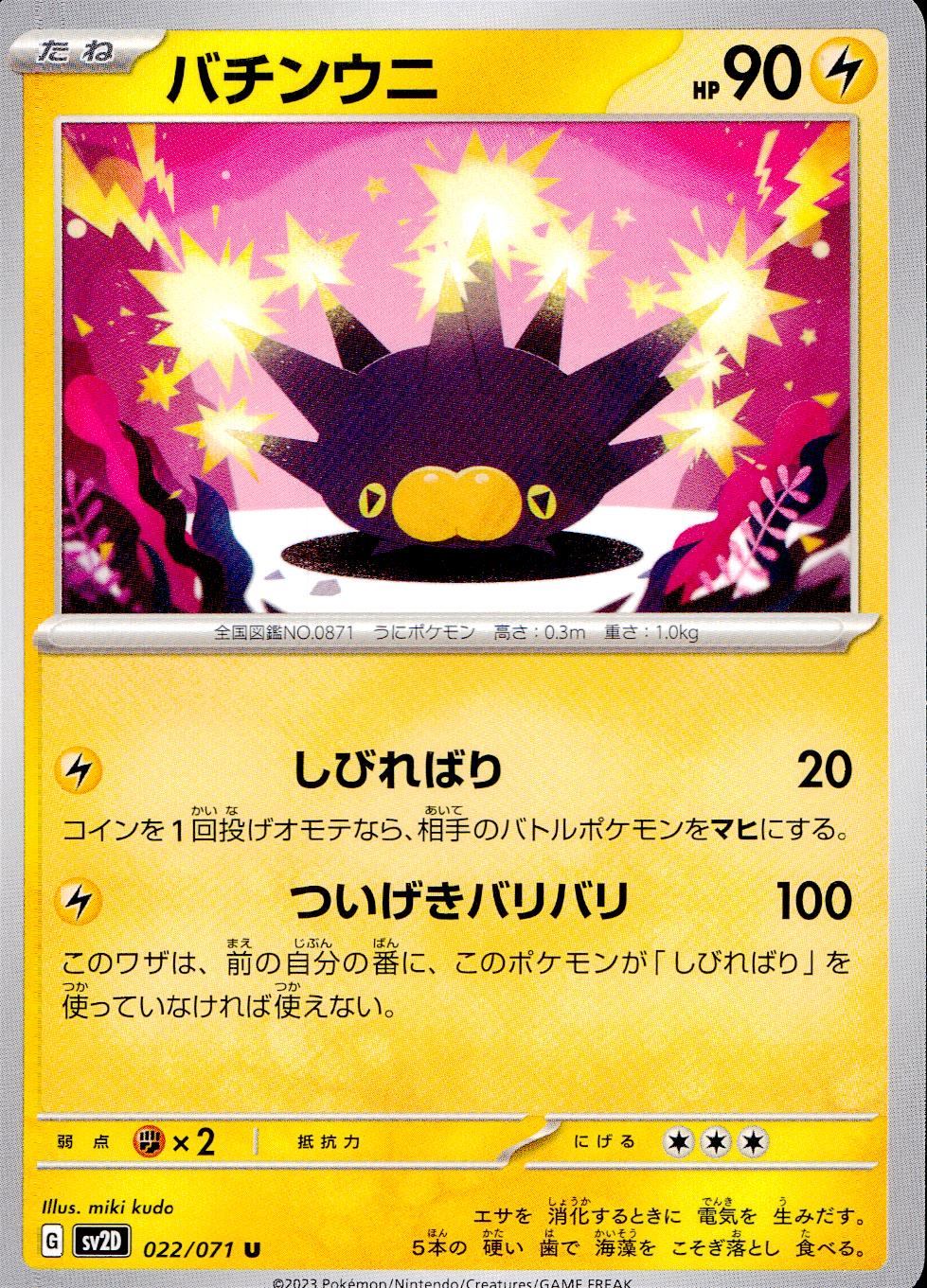 022/071/SV2D/B/U Sea urchin