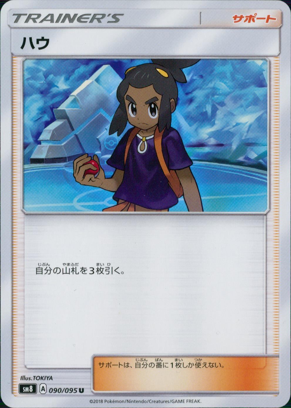 090/095/SM8 ハウ