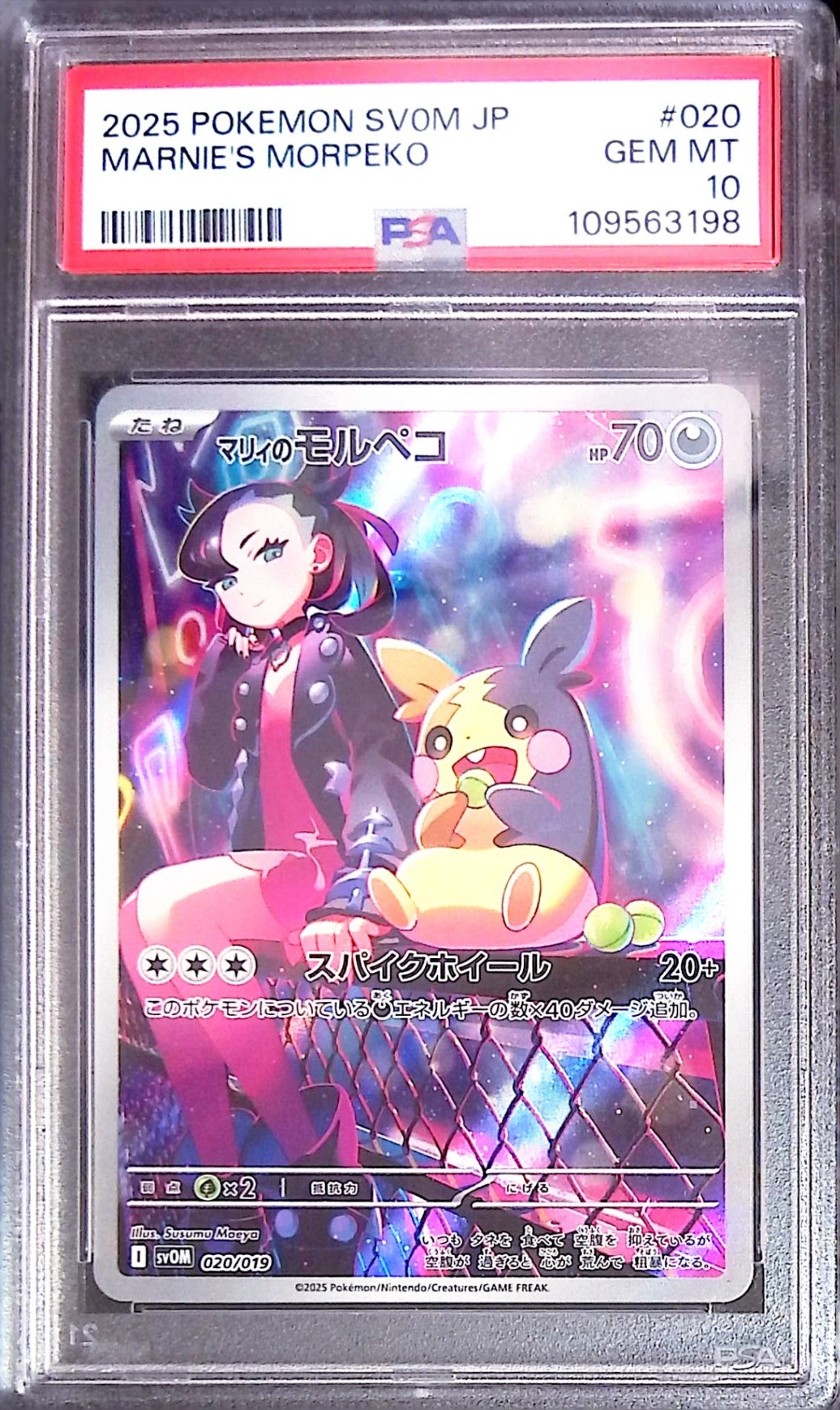020/019/SVOM/B/AR Marnie's Morpeko psa10 109563198