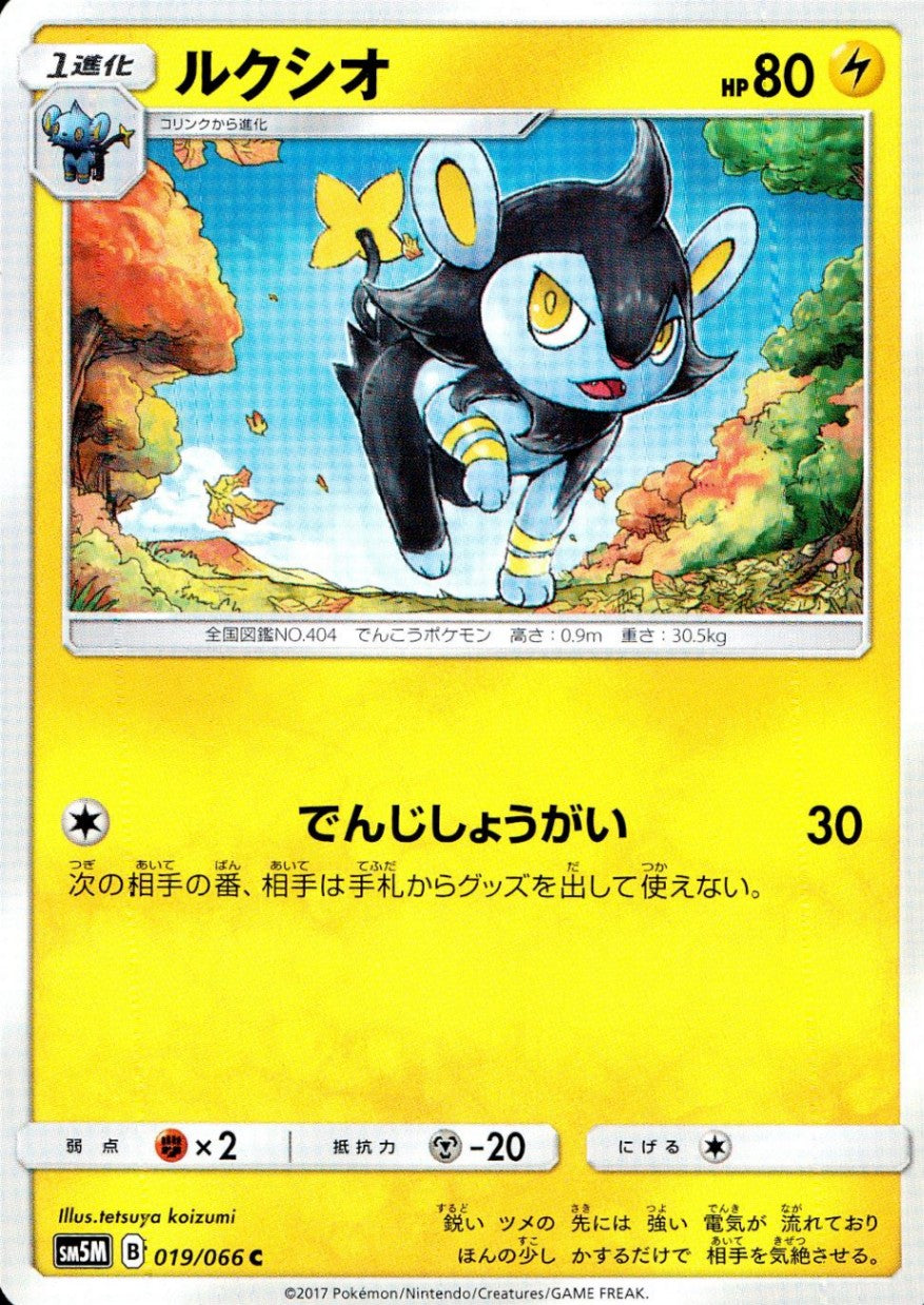 019/066/SM5M/ルクシオ