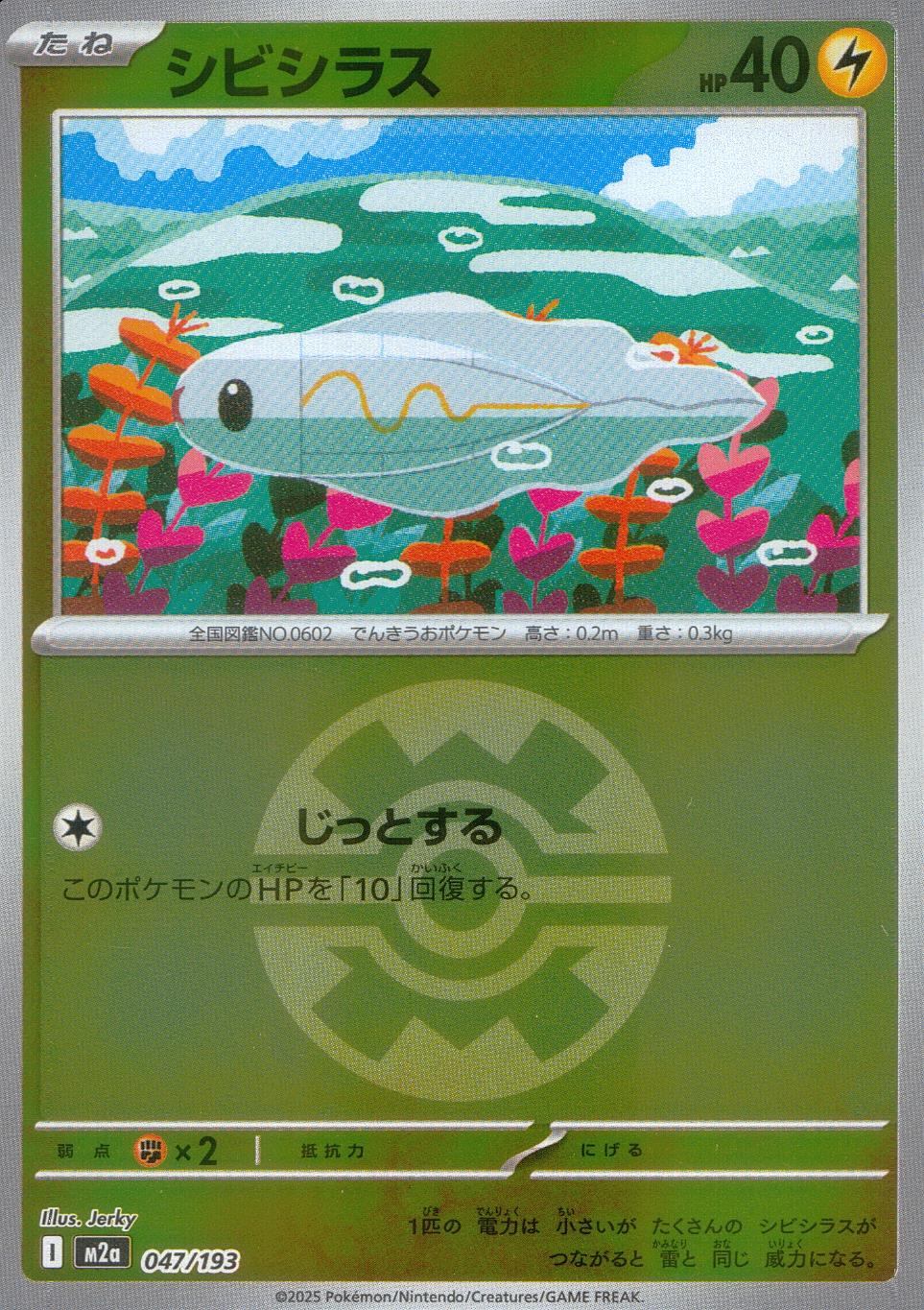 047/193/M2a/MB シビシラス(ボールミラー)