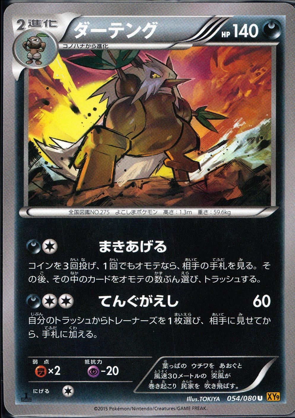 054/080/U/XY9/B ダーテング