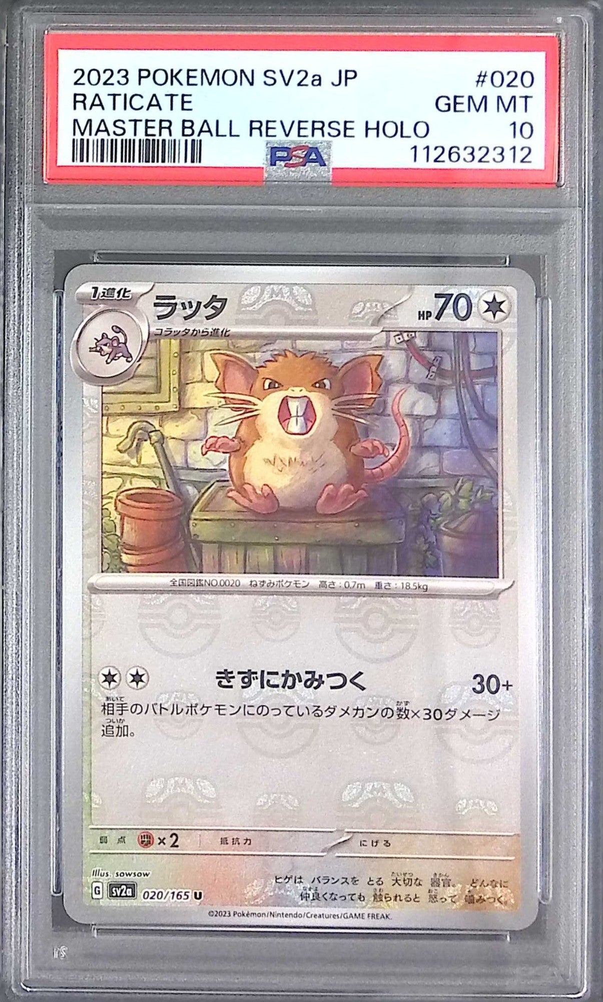 020/165/SV2A/MB2 ラッタ PSA10 マスターボール柄 112632312