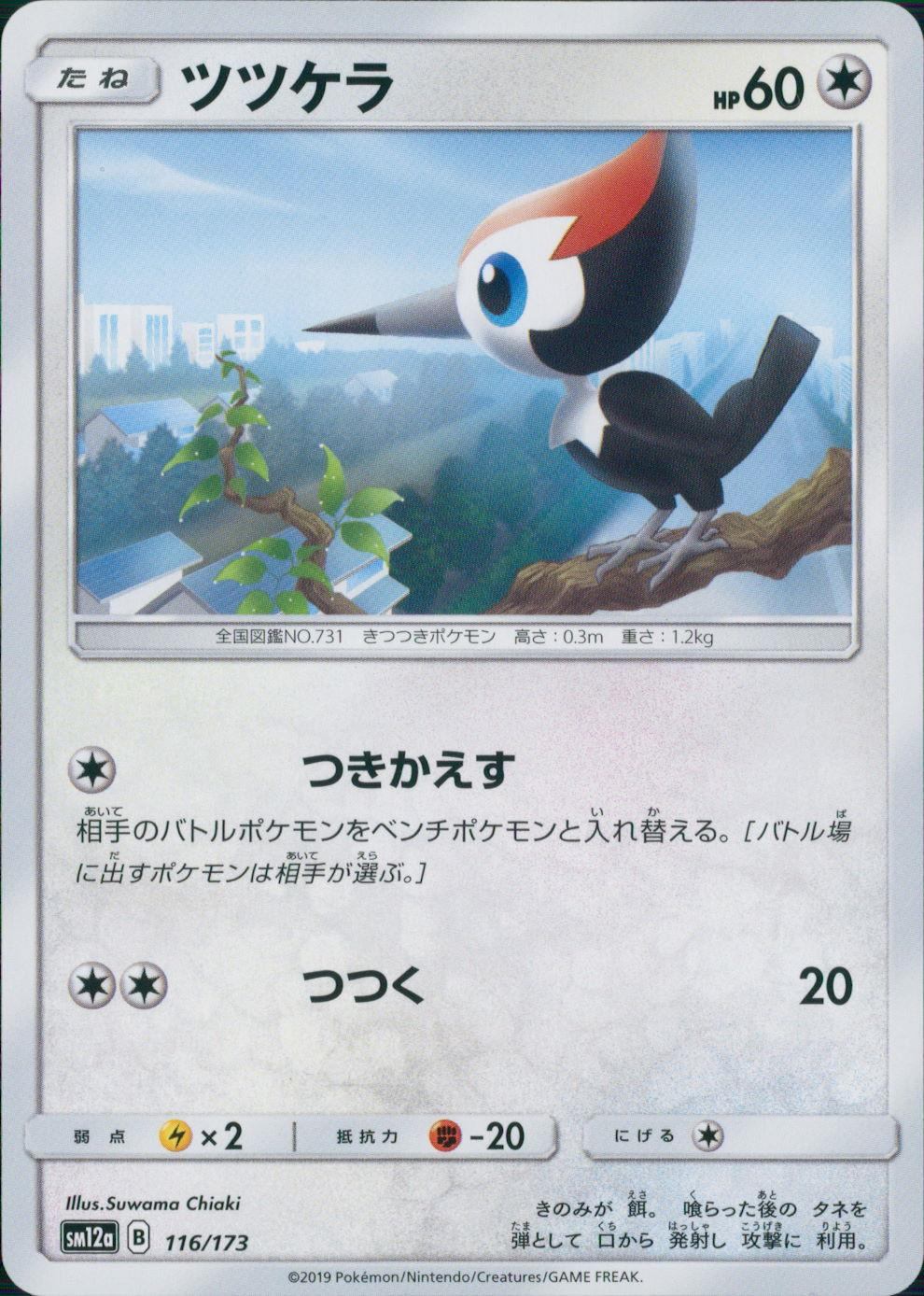 116/173/SM12A/ツツケラ