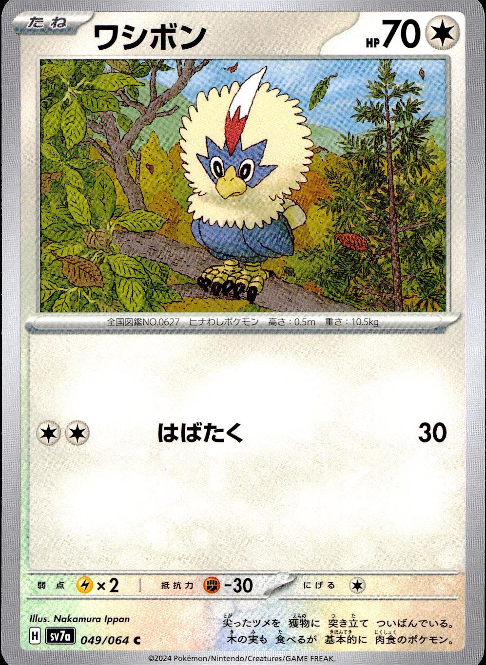 049/064/SV7A/B/C Wasibon