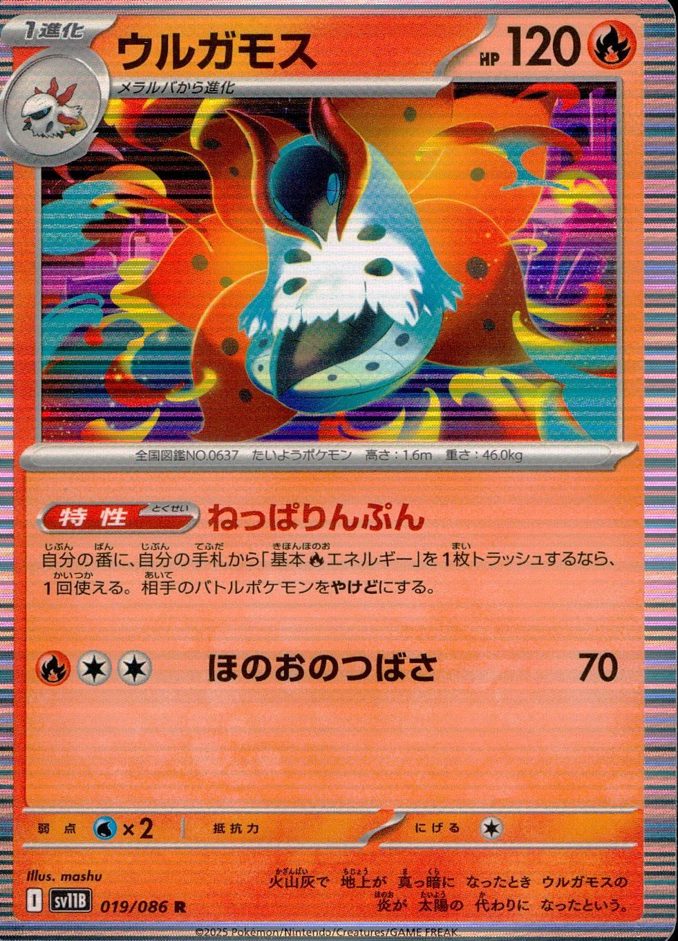 PSA10ガマゲロゲEX 098/096 SRポケモンカード