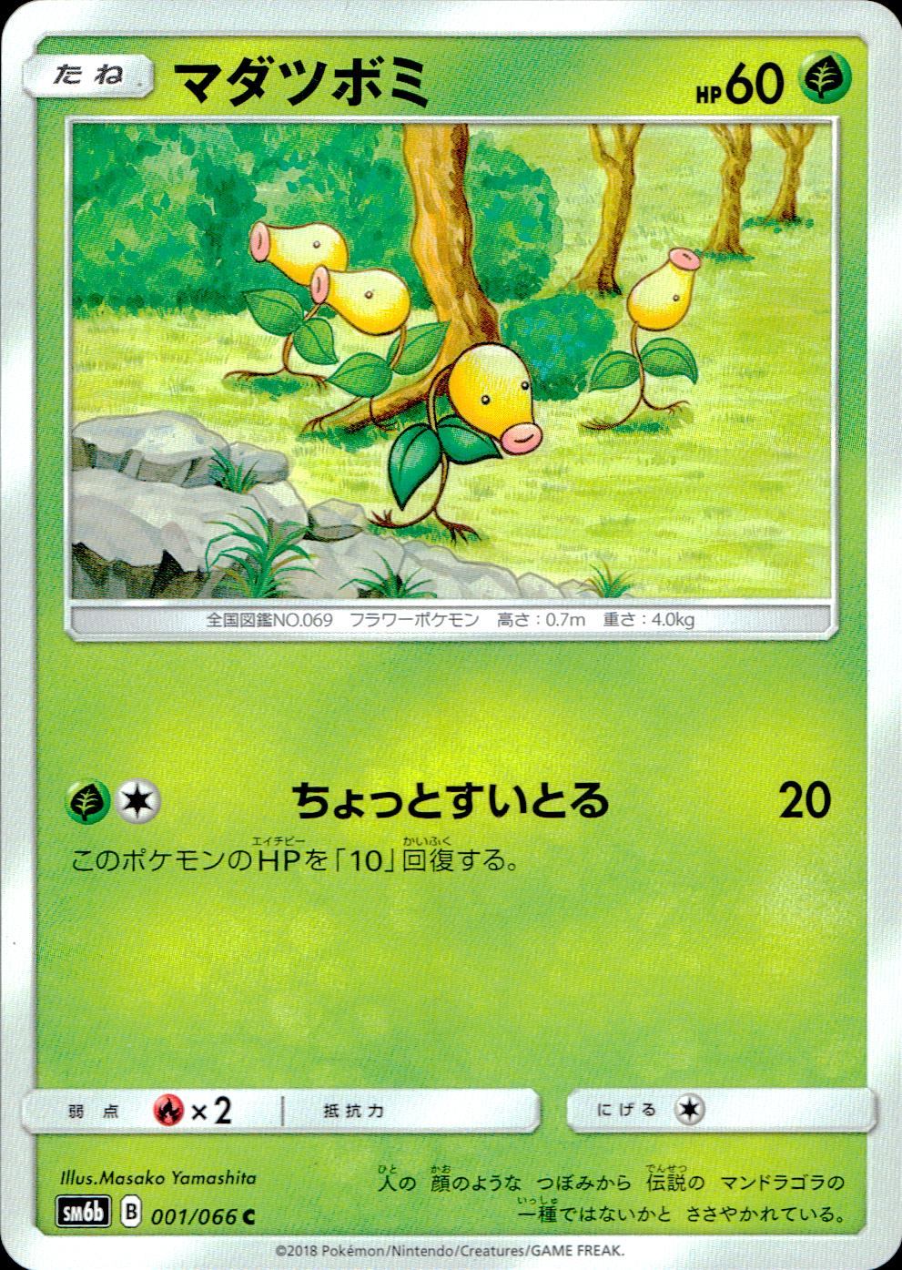 001/066/SM6B/マダツボミ
