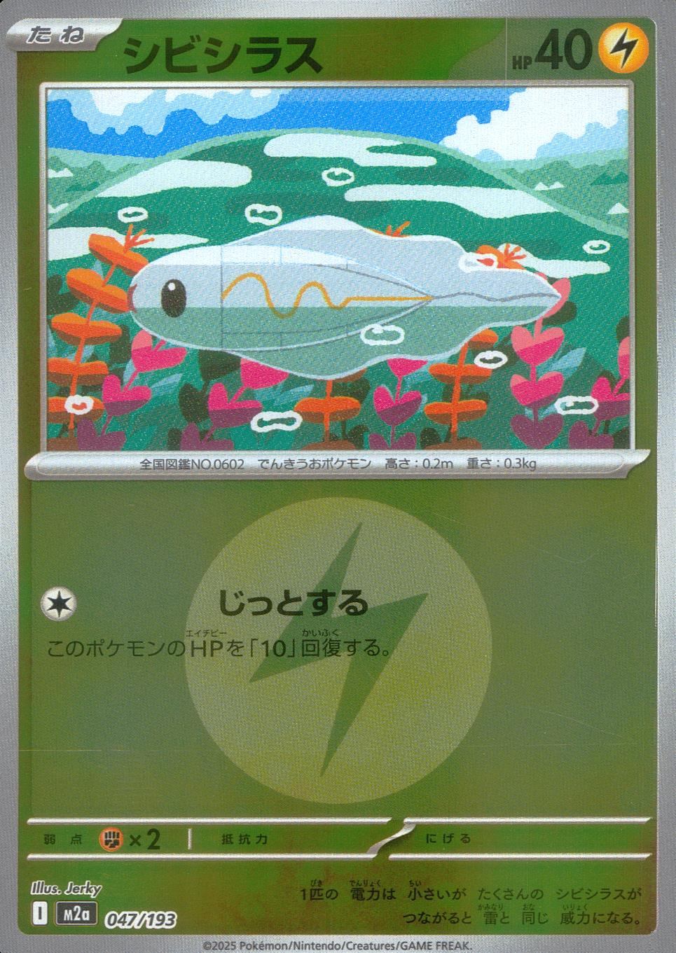 047/193/M2a/MB2 シビシラス(エネルギ-ミラー)