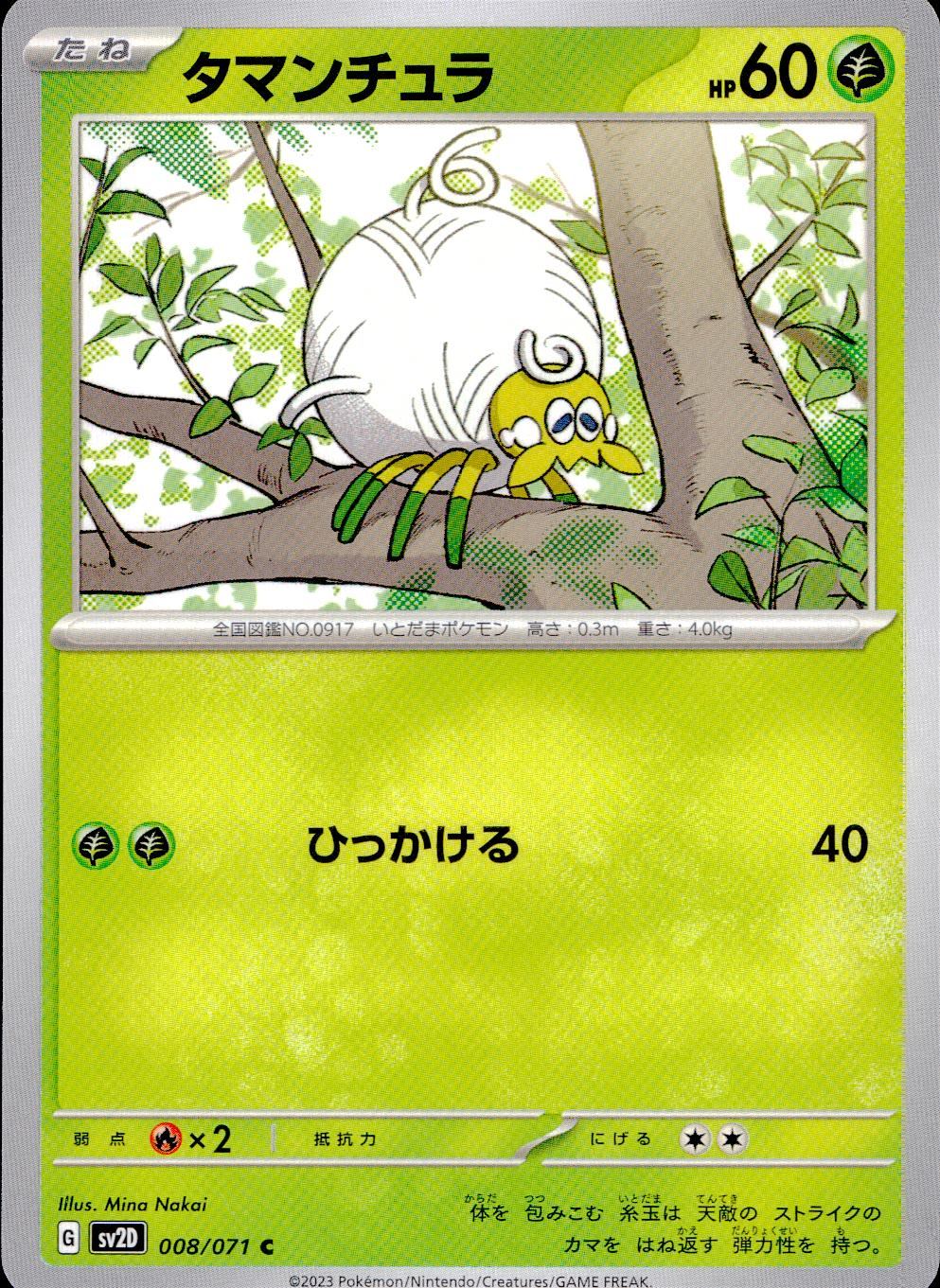 008/071/SV2D/B/C Tamantula