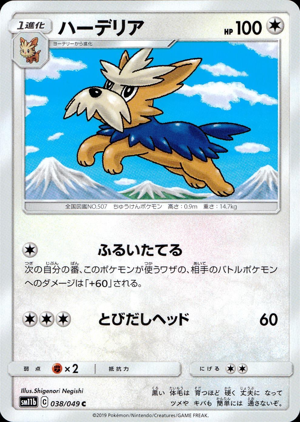 038/049/SM11B/B/C ハーデリア