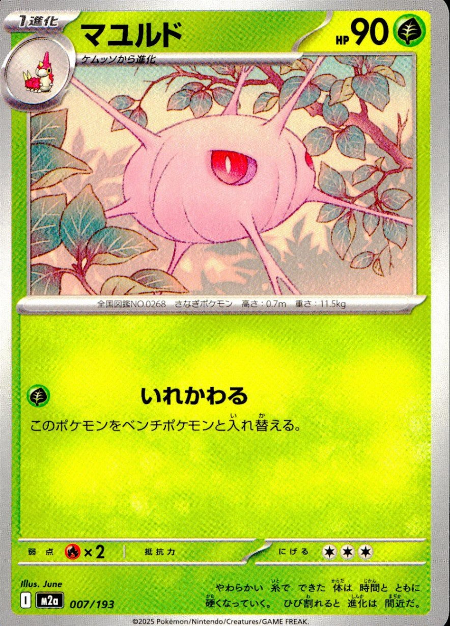 007/193/M2a マユルド