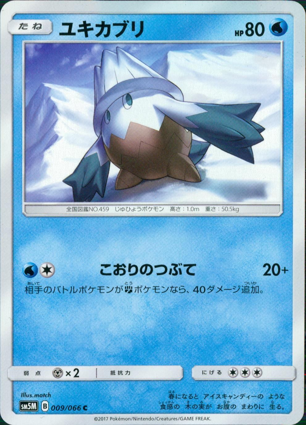 009/066/SM5M/ユキカブリ