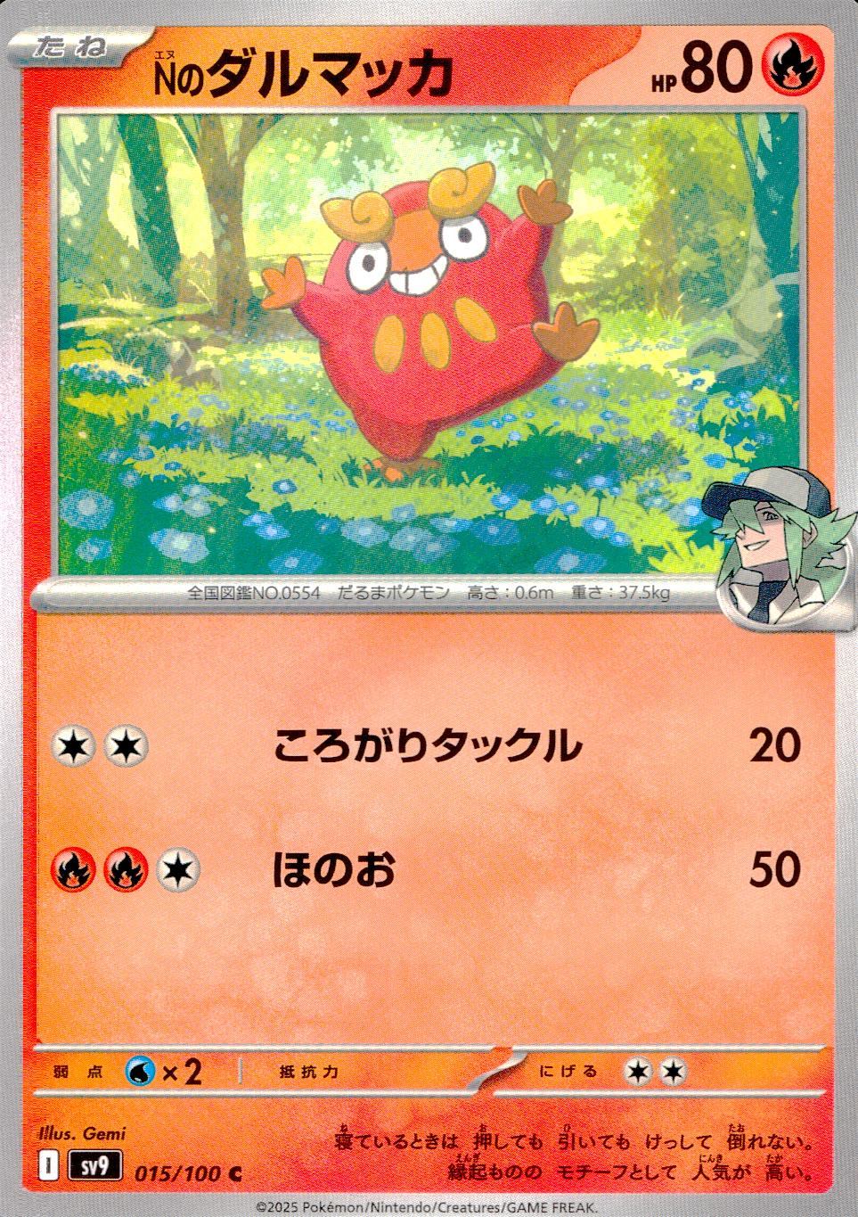 015/100/SV9/B/C Nのダルマッカ