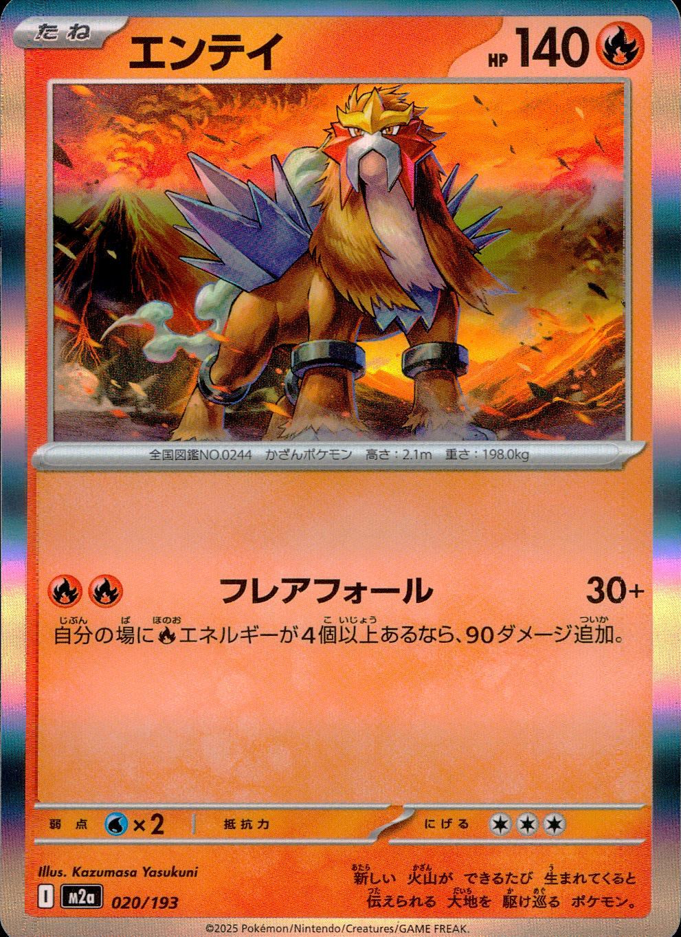 020/193/M2a エンテイ