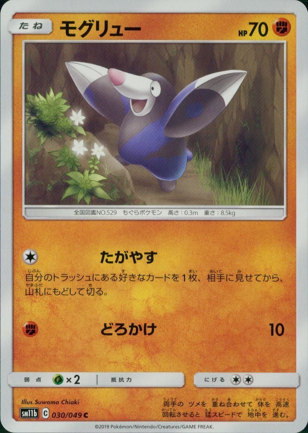 030/049/SM11B/B/C モグリュー