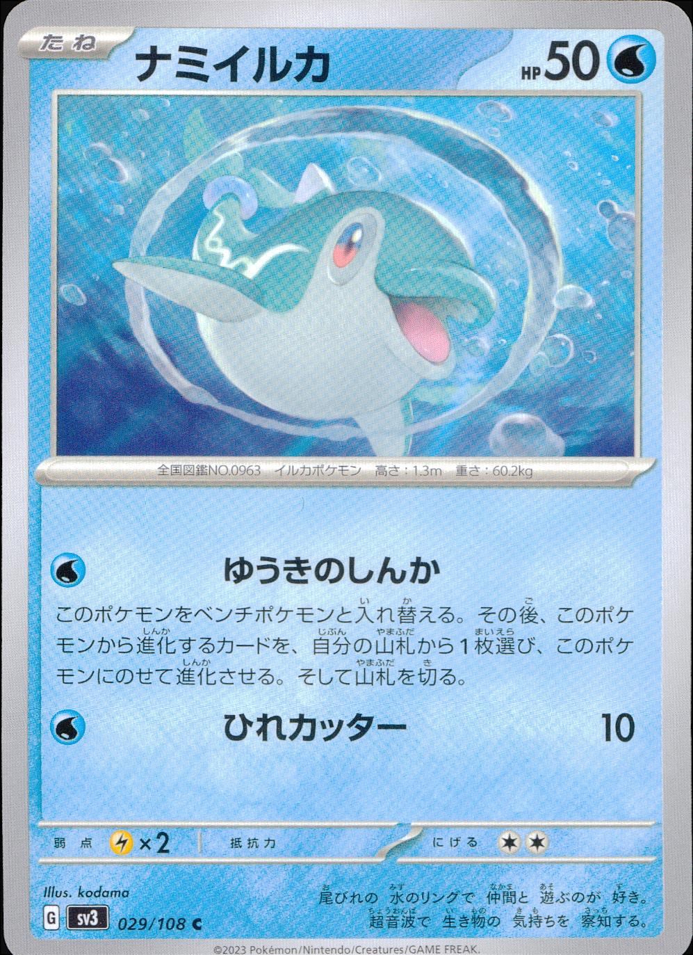 029/108/SV3/B/C Pacific dolphin