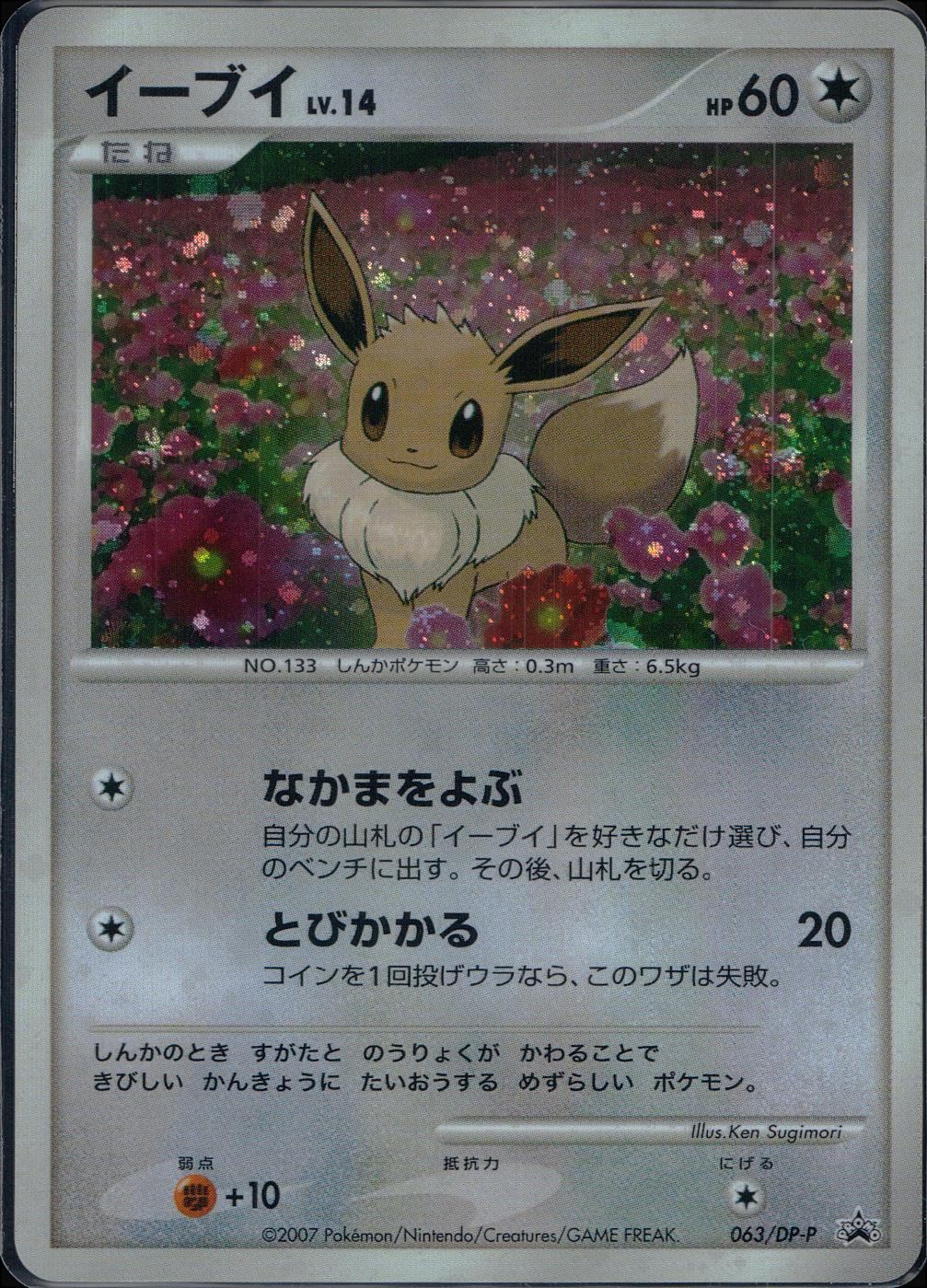 063/DP-P Eevee LV.14